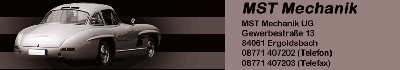 Firmenlogo
